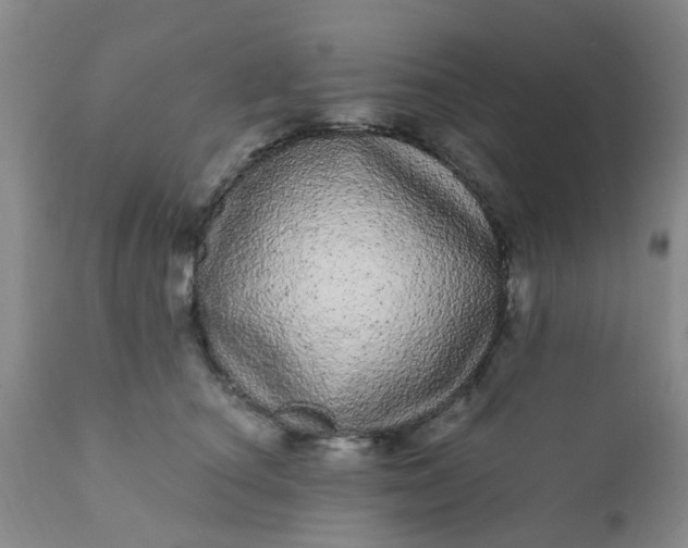 X0000110960660200907022222