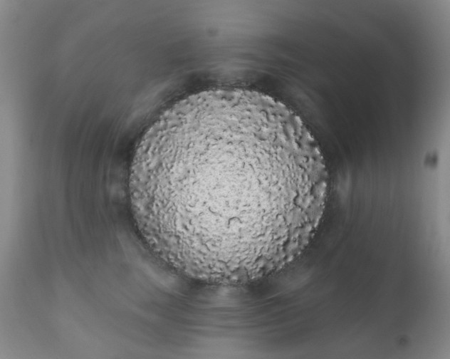 X0000110960663200907022222