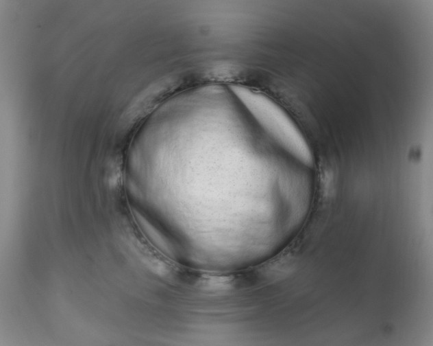 X0000110960665200907022222