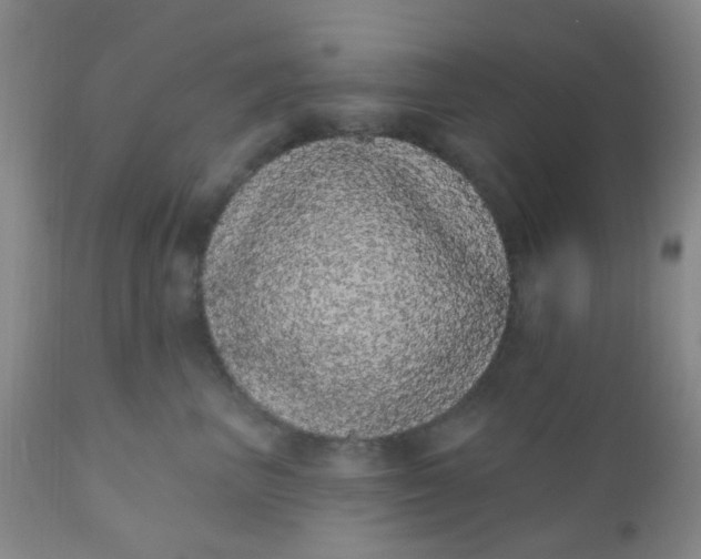 X0000110960667200907022222