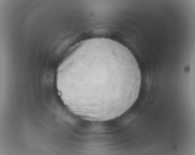 X0000110960668200907022222