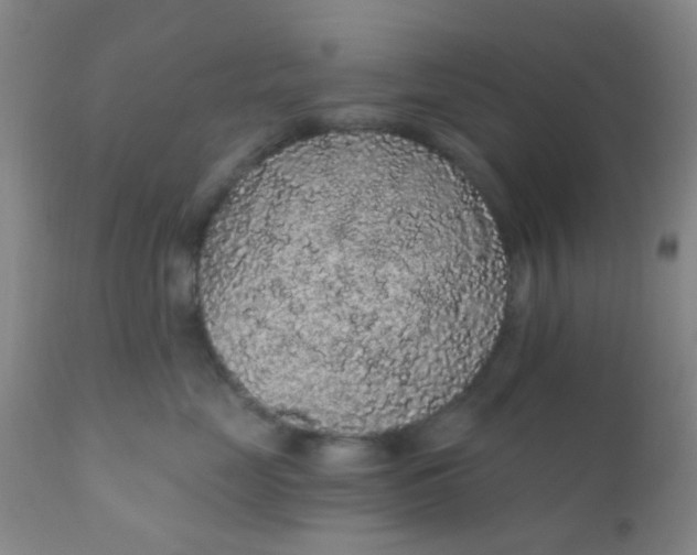 X0000110960669200907022222