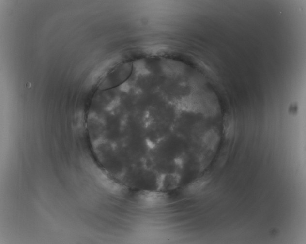 X0000110960670200907022222