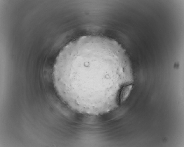 X0000110960671200907022222