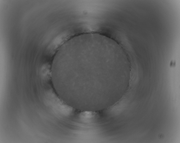 X0000110960672200907022222