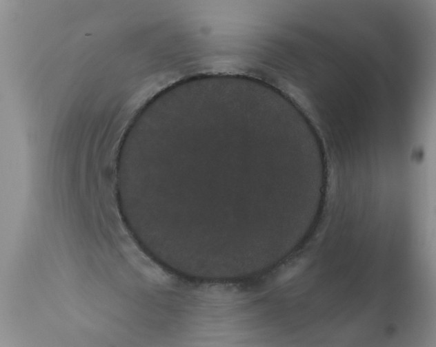 X0000110960673200907022221