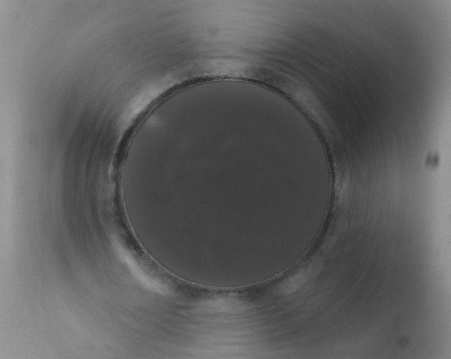 X0000110960674200907022221