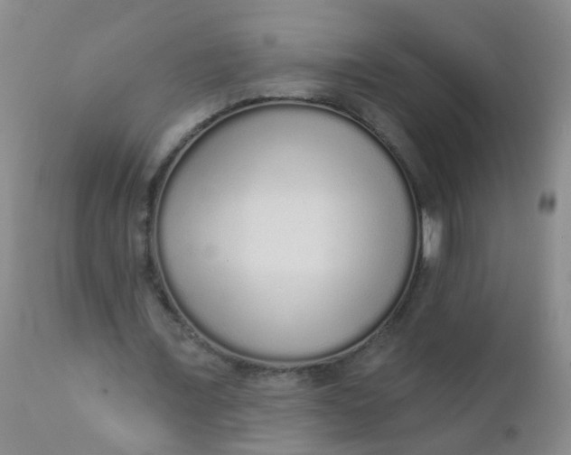 X0000110960675200907022221