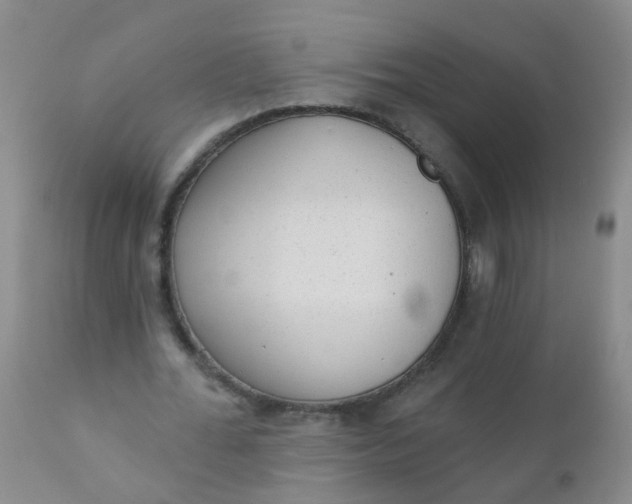 X0000110960676200907022221