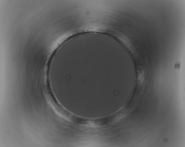 X0000110960678200907022221