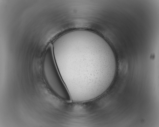 X0000110960684200907022221