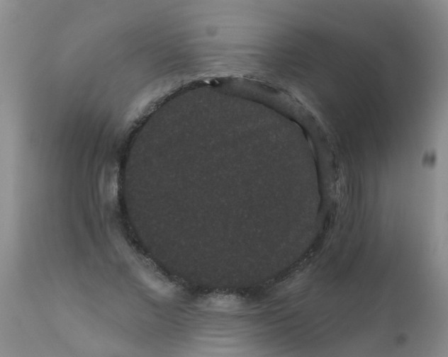 X0000110960685200907022221