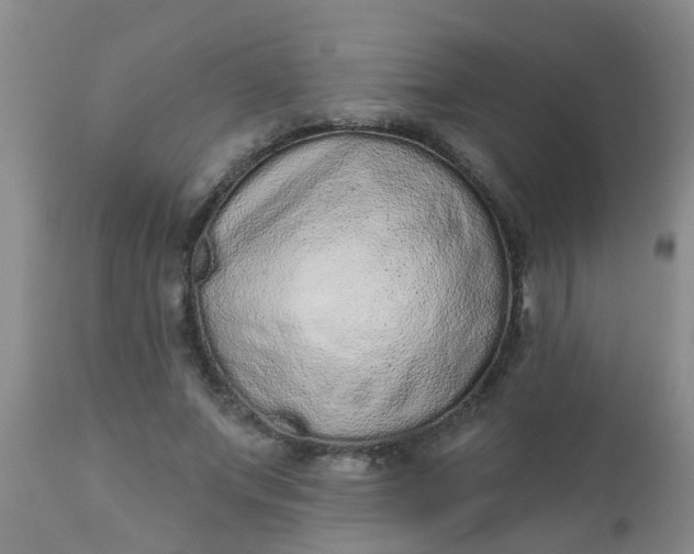 X0000110960687200907022221