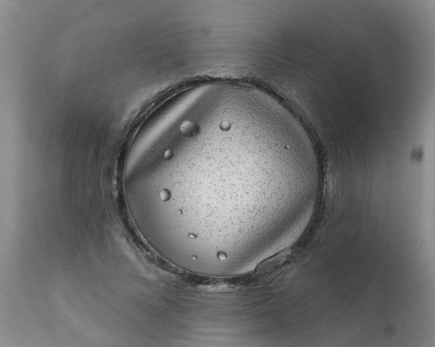 X0000110960688200907022221