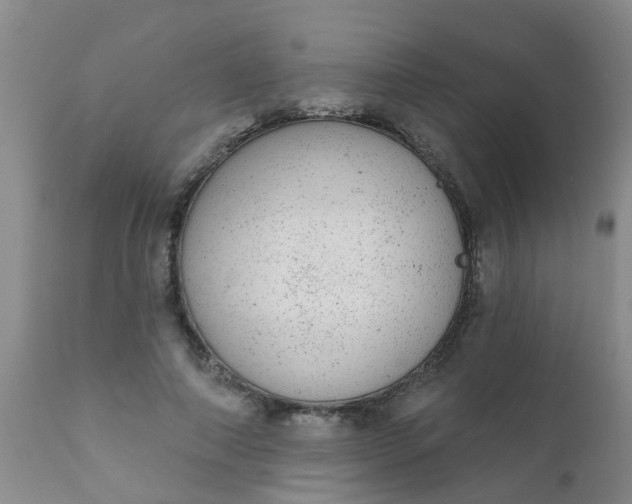 X0000110960690200907022221