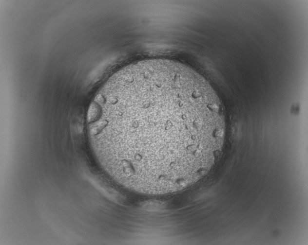 X0000110960691200907022221