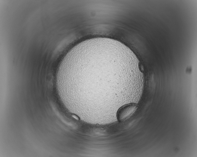 X0000110960692200907022221