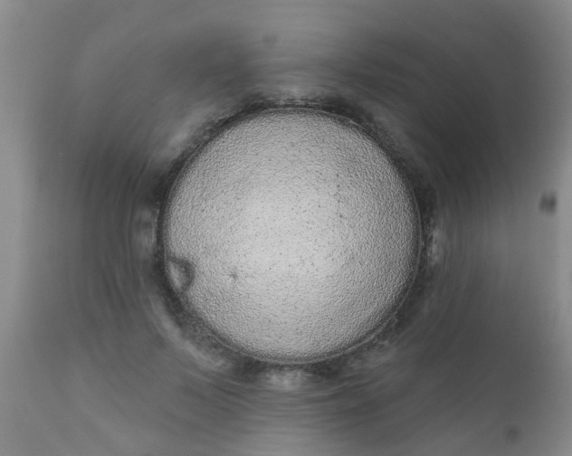 X0000110960695200907022221