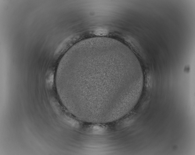 X0000110960697200907022221