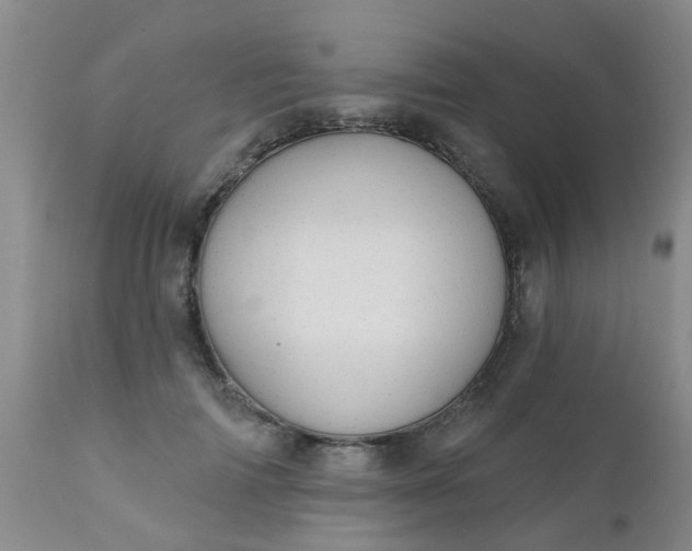 X0000110960698200907022221