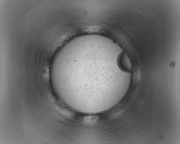 X0000110960700200907022221