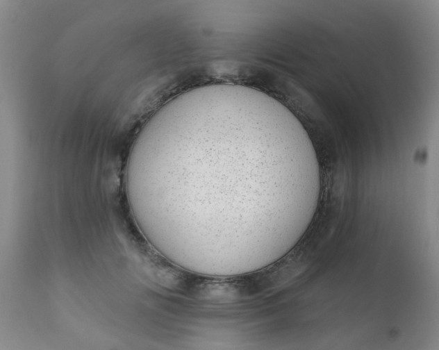 X0000110960702200907022221