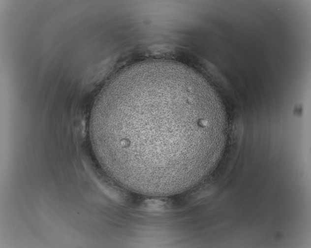 X0000110960703200907022221