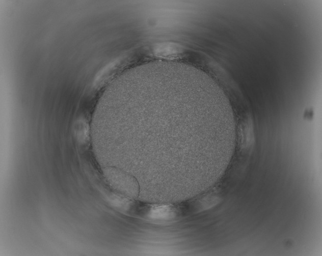 X0000110960705200907022221