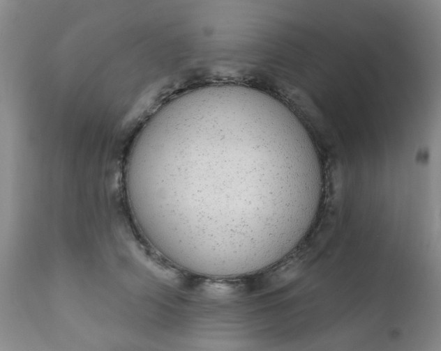 X0000110960706200907022221