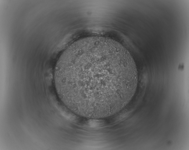 X0000110960707200907022221