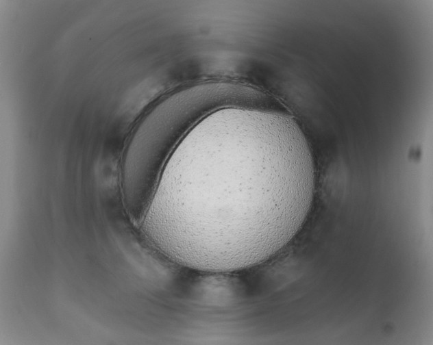 X0000110960708200907022221