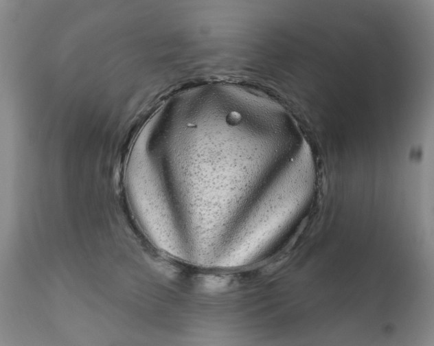 X0000110960709200907022221