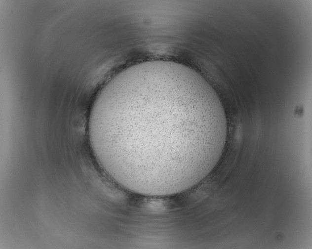 X0000110960710200907022221