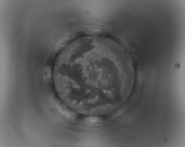 X0000110960711200907022221