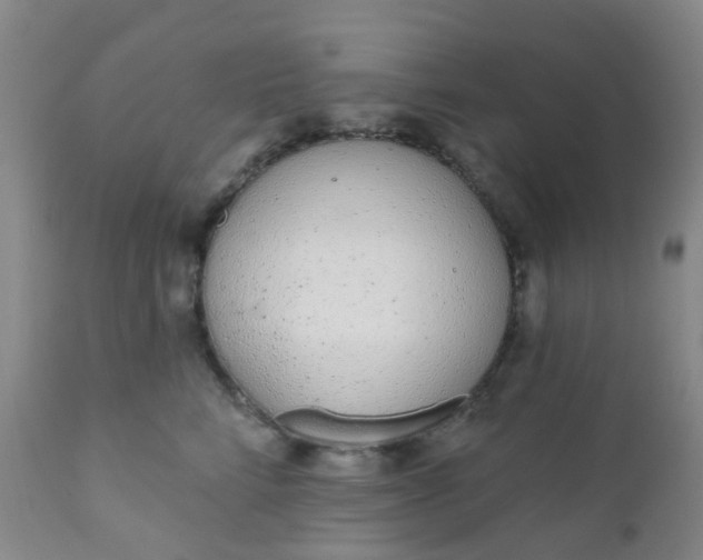 X0000110960712200907022221