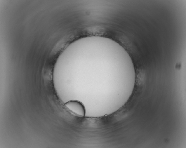 X0000110960713200907022221