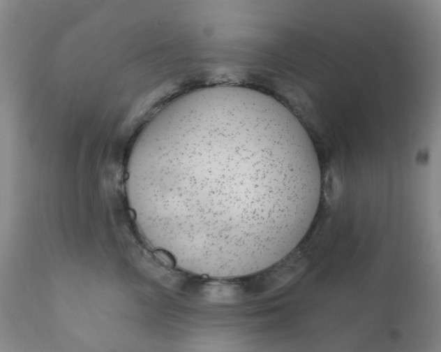 X0000110960714200907022221