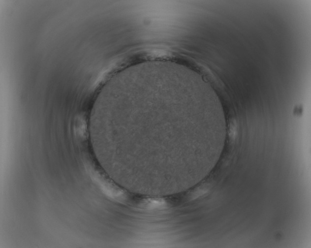 X0000110960715200907022221