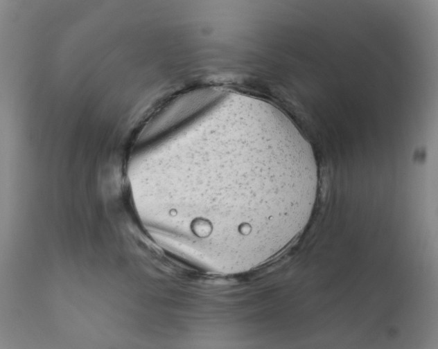 X0000110960716200907022221