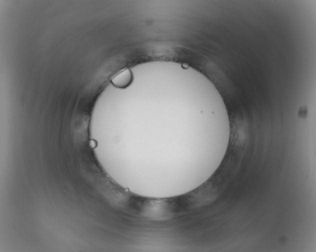 X0000110960717200907022221