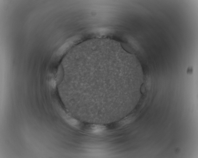 X0000110960719200907022221