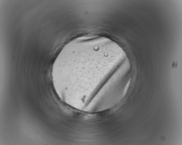 X0000110960720200907022221