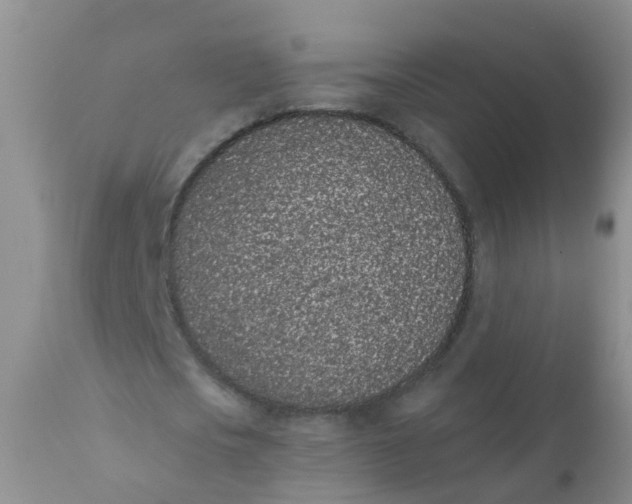 X0000110960721200907022220