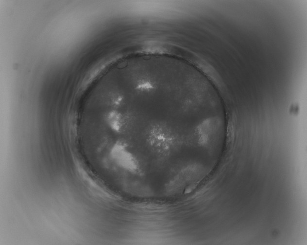 X0000110960722200907022220