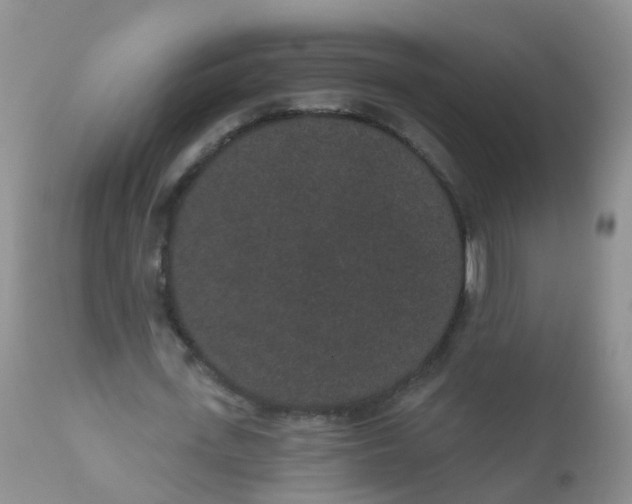 X0000110960723200907022220