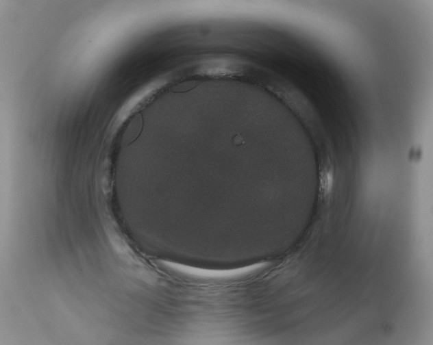 X0000110960724200907022220