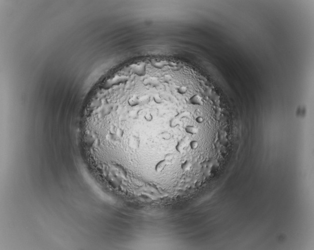 X0000110960725200907022220