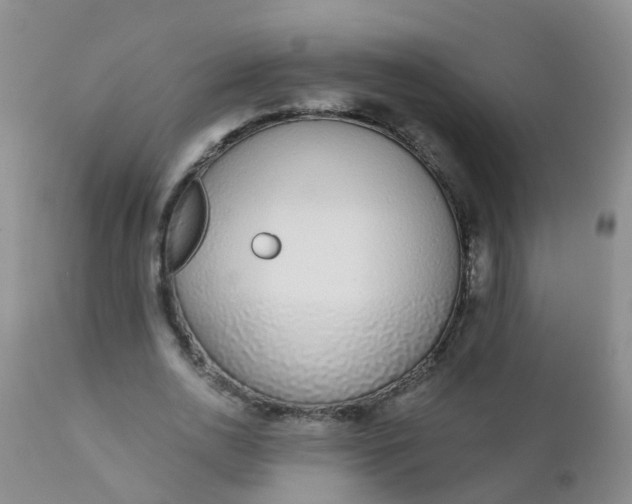 X0000110960726200907022220