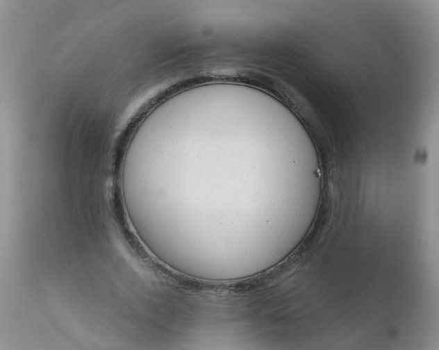 X0000110960728200907022220