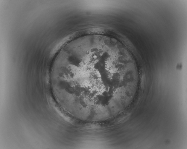 X0000110960729200907022220